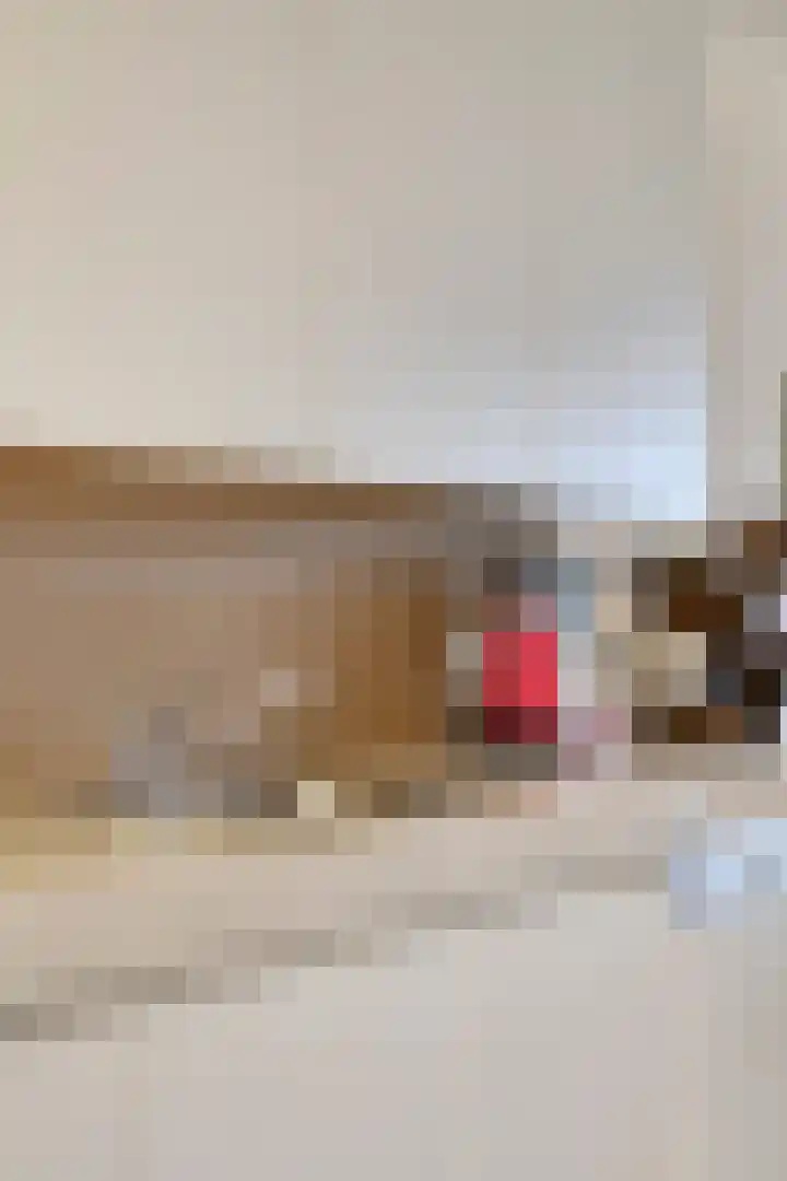 Hoofdstraat 24 Terneuzen thumbnail 18