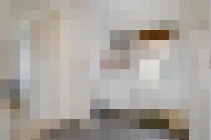 Hoofdstraat 24 Terneuzen thumbnail 23