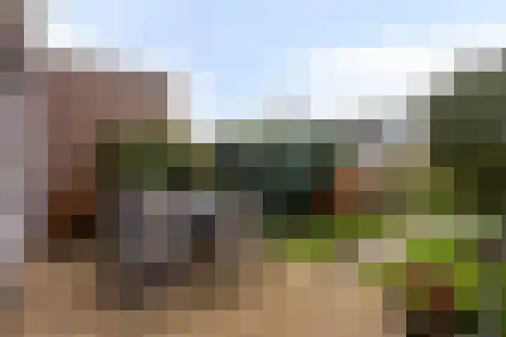 Hoofdstraat 24 Terneuzen thumbnail 36