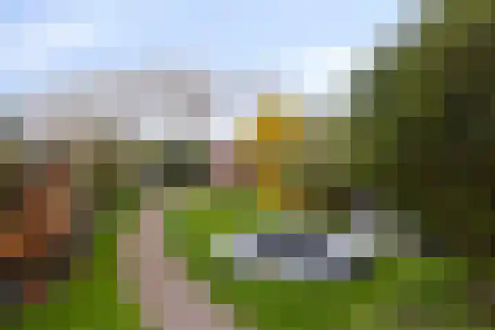 Hoofdstraat 24 Terneuzen thumbnail 37