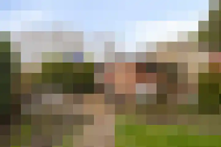 Hoofdstraat 24 Terneuzen thumbnail 38