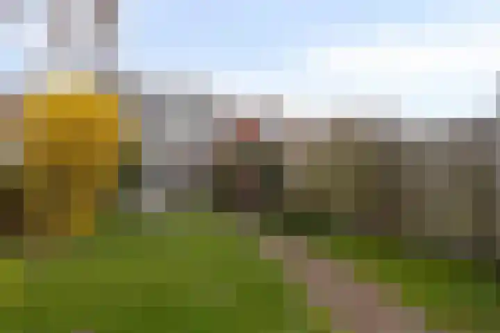Hoofdstraat 24 Terneuzen thumbnail 39