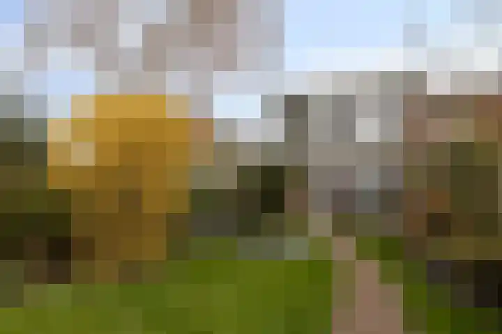 Hoofdstraat 24 Terneuzen thumbnail 40