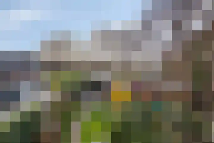 Hoofdstraat 24 Terneuzen thumbnail 42