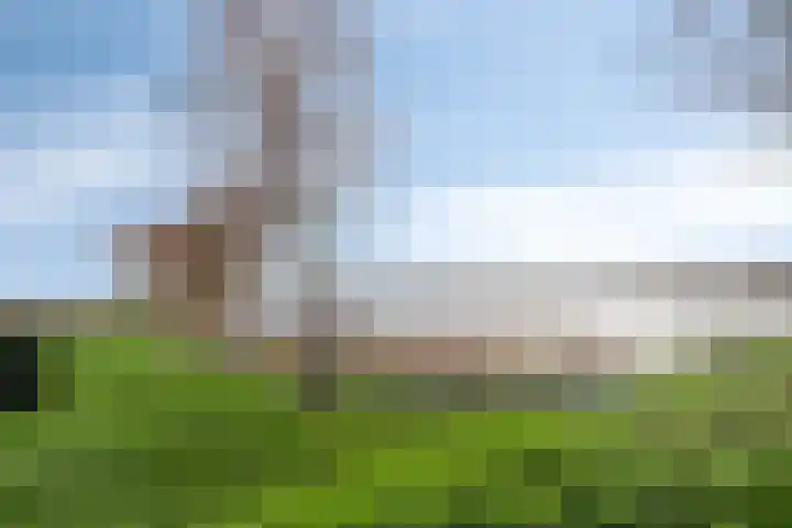 Hoofdstraat 24 Terneuzen thumbnail 43