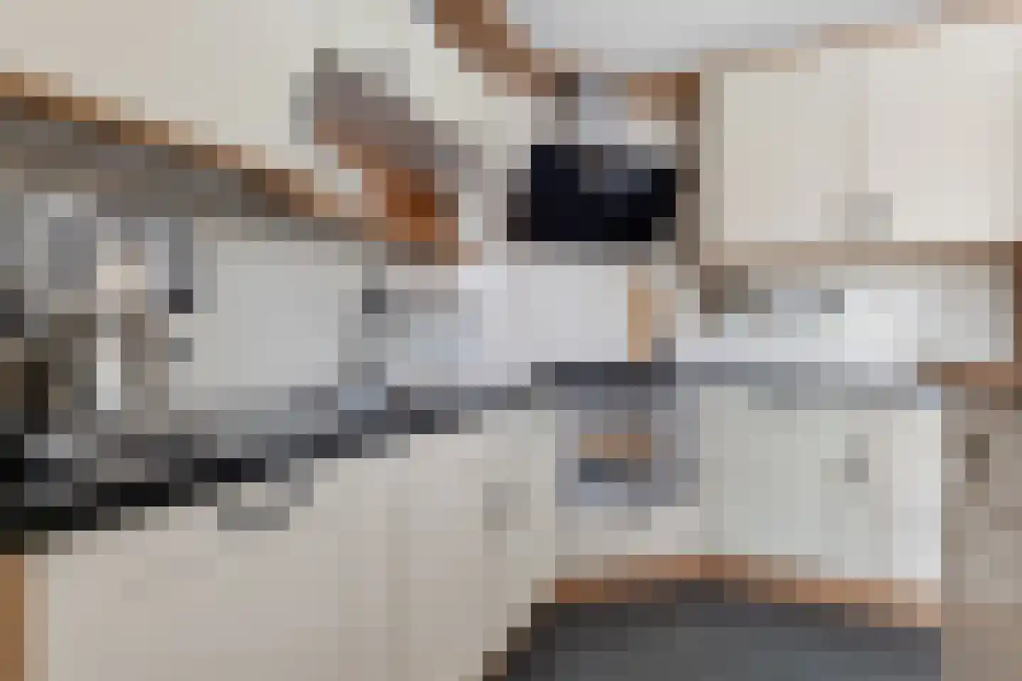 Hoofdstraat 24 Tolbert thumbnail 16