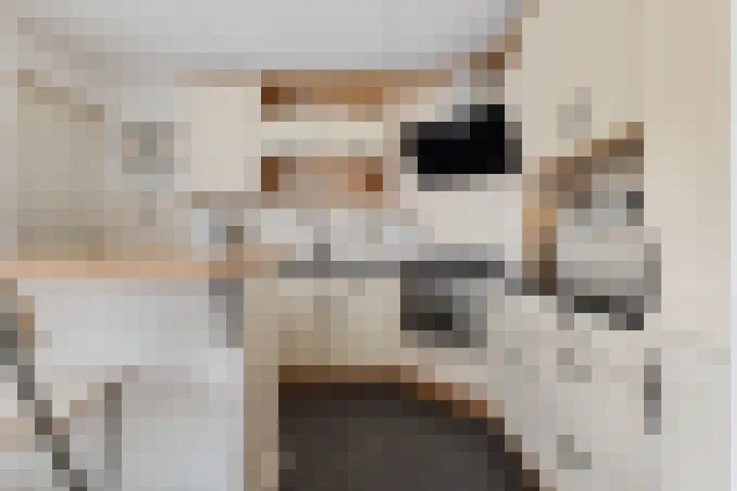 Hoofdstraat 24 Tolbert thumbnail 17