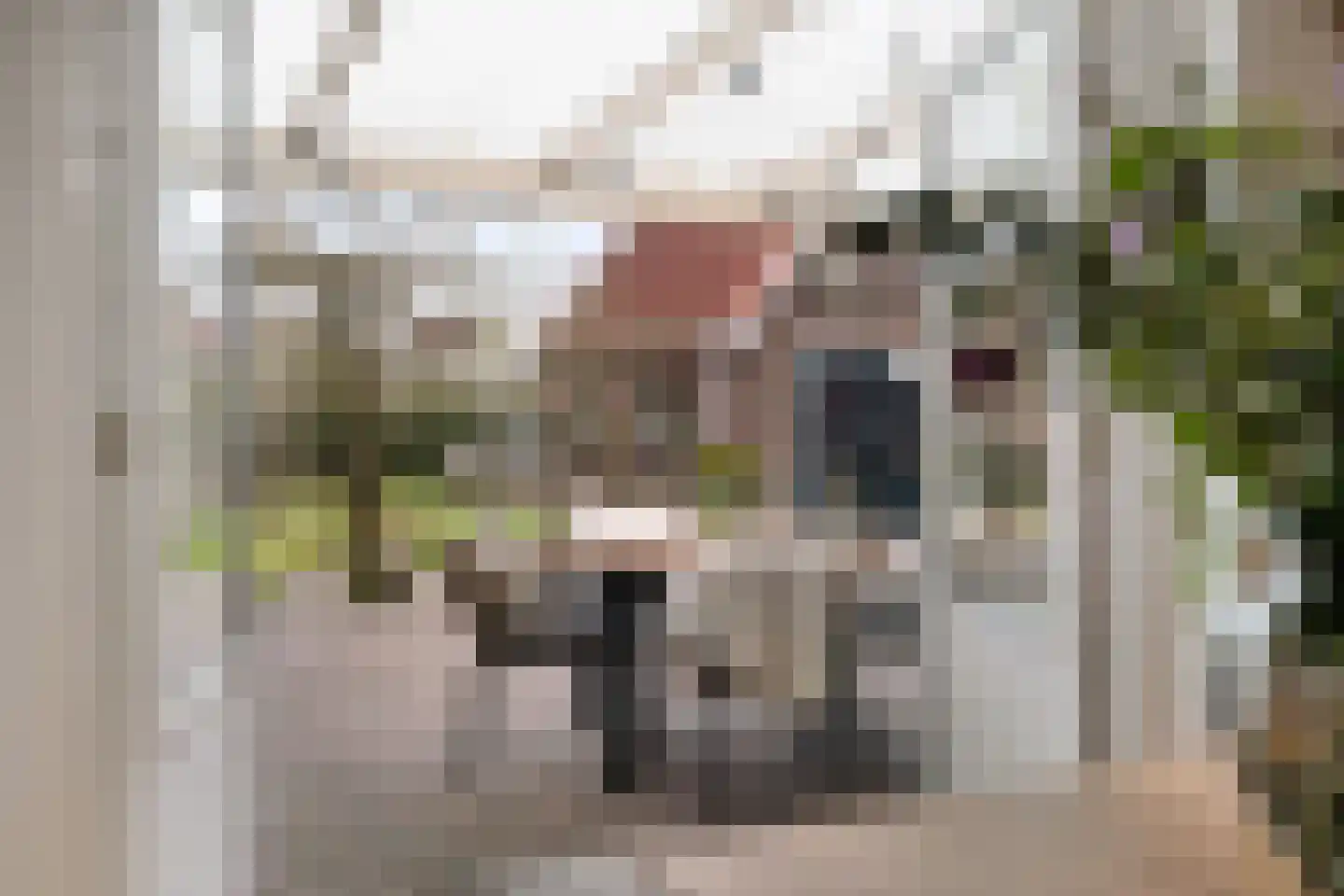 Hoofdstraat 24 Tolbert thumbnail 21