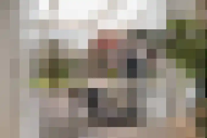 Hoofdstraat 24 Tolbert thumbnail 21