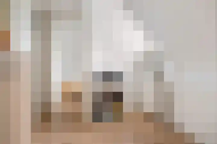 Hoofdstraat 24 Tolbert thumbnail 26
