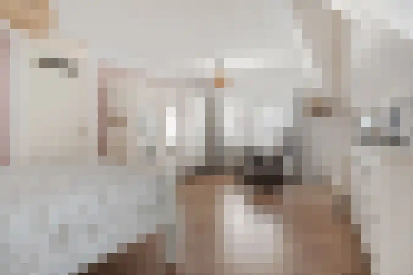 Hoofdstraat 24 Tolbert thumbnail 28