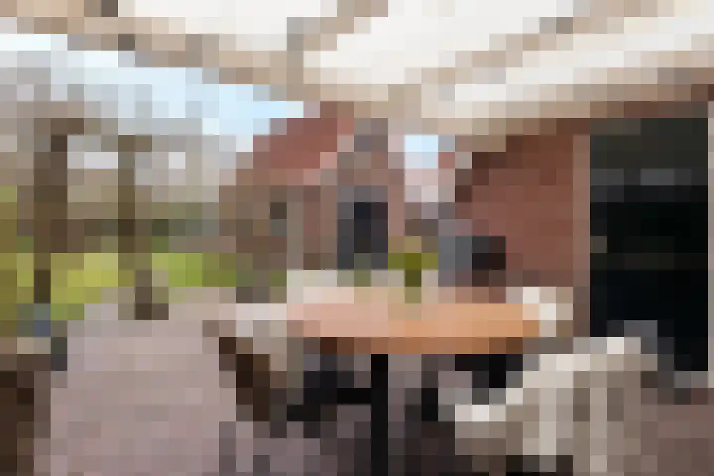 Hoofdstraat 24 Tolbert thumbnail 35