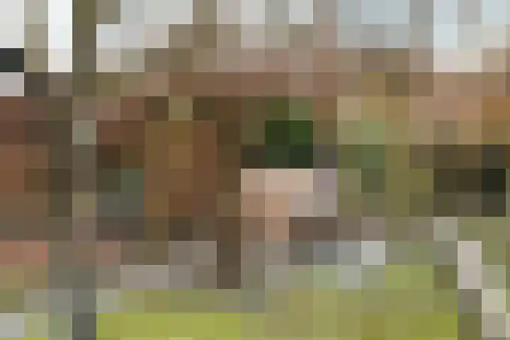 Hoofdstraat 24 Tolbert thumbnail 40