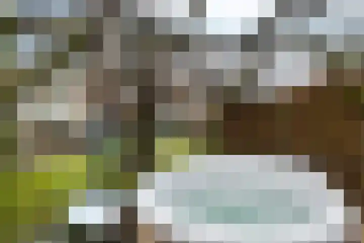Hoofdstraat 24 Tolbert thumbnail 41