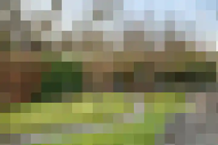 Hoofdstraat 24 Tolbert thumbnail 42