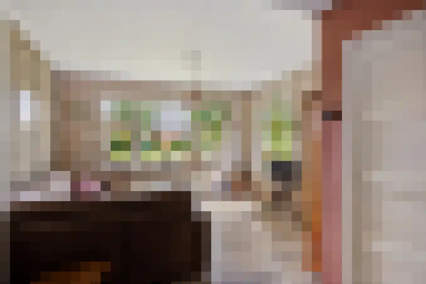 Hoofdstraat 24 Valthe thumbnail 17