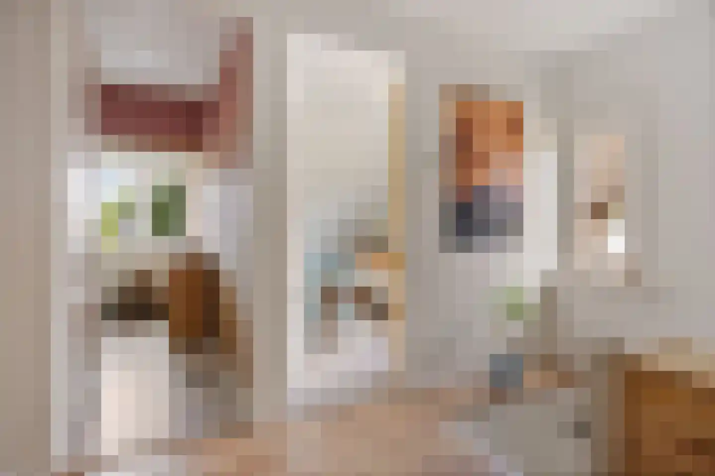 Hoofdstraat 24 Valthe thumbnail 22