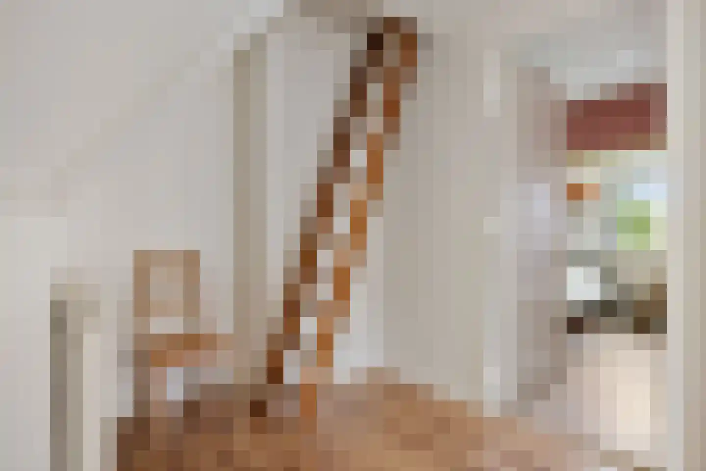 Hoofdstraat 24 Valthe thumbnail 23