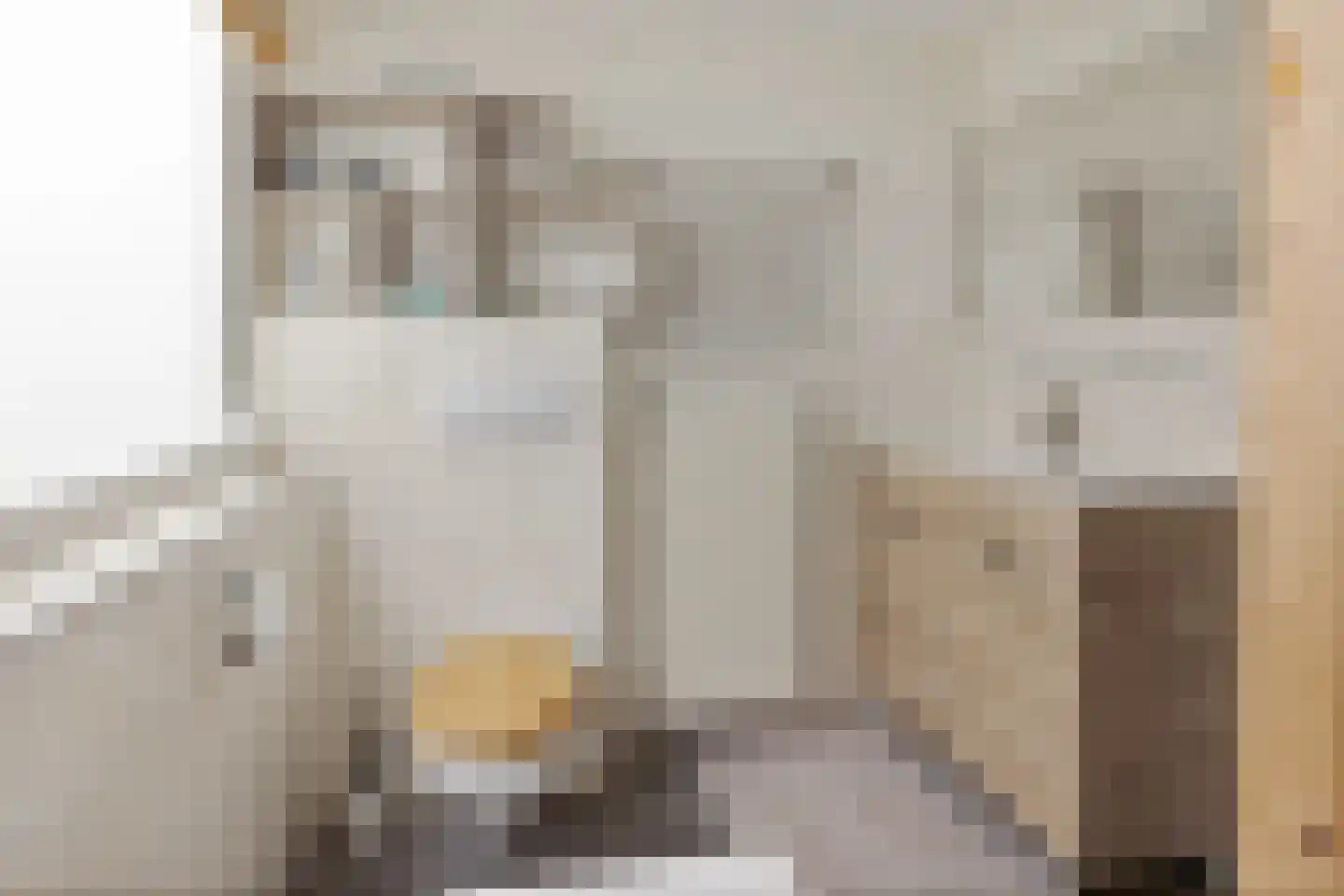 Hoofdstraat 24 Valthe thumbnail 30