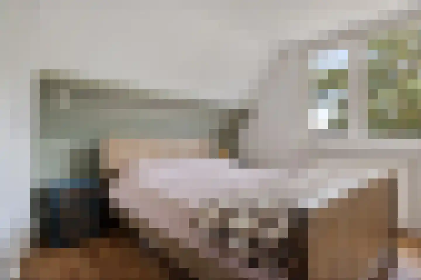 Hoofdstraat 24 Valthe thumbnail 31