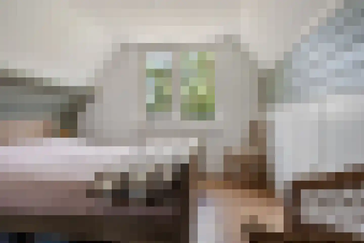 Hoofdstraat 24 Valthe thumbnail 32