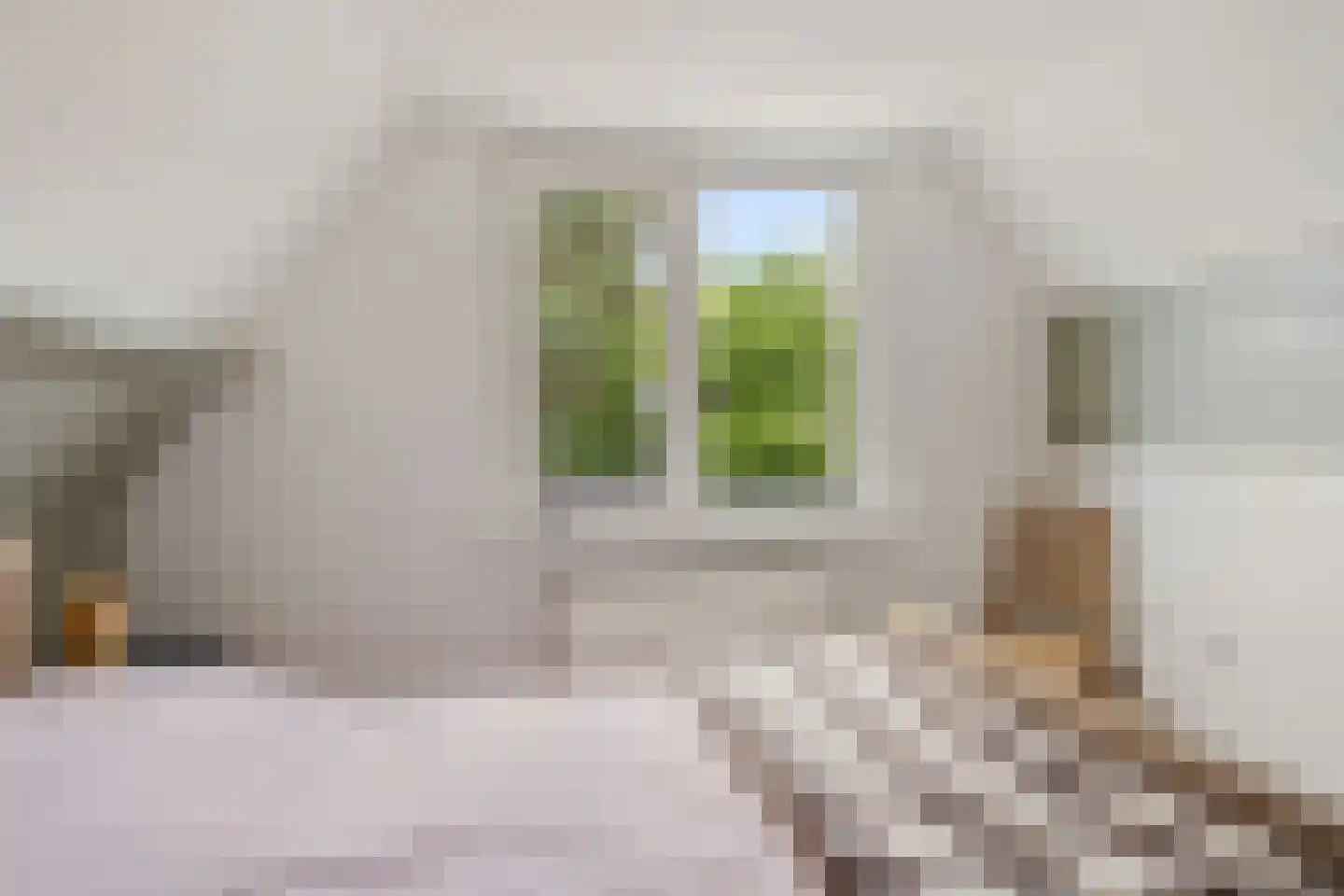 Hoofdstraat 24 Valthe thumbnail 33