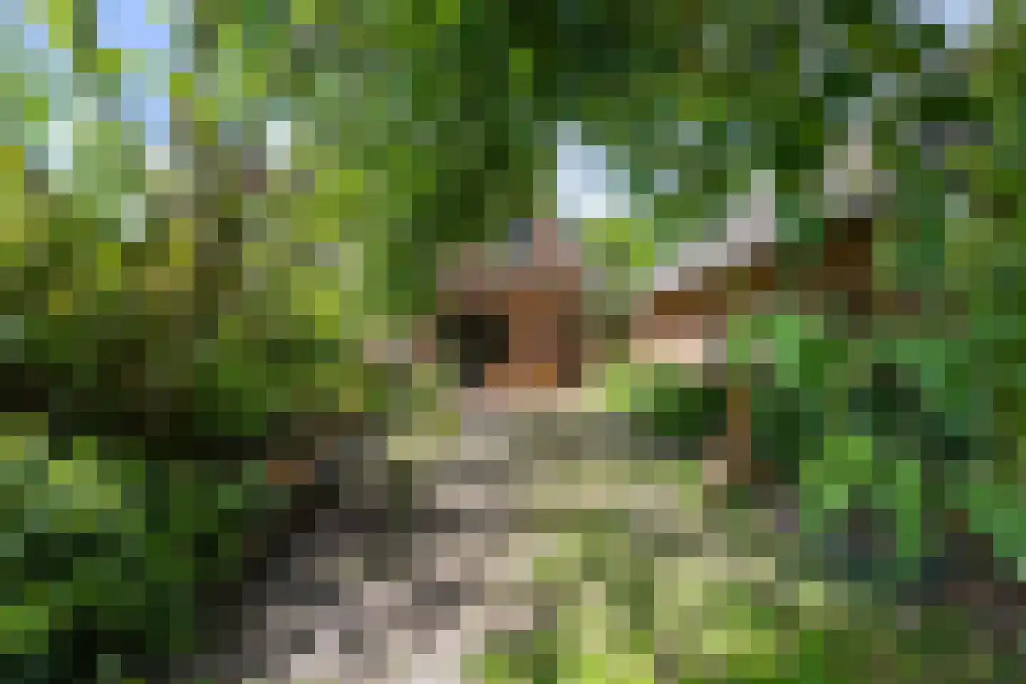 Hoofdstraat 24 Valthe thumbnail 38