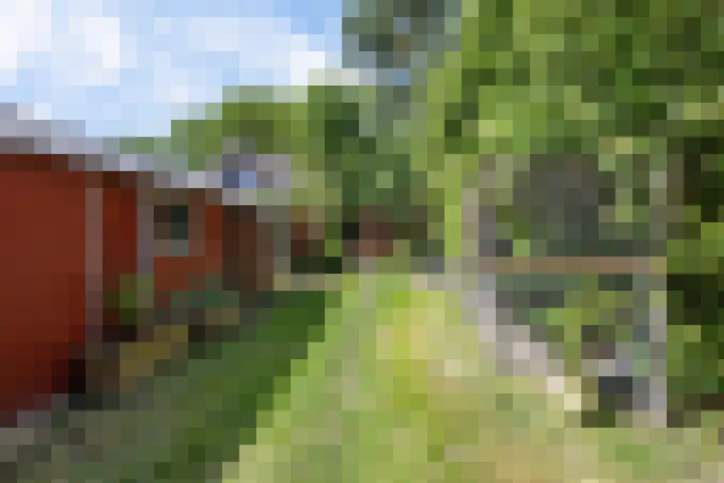 Hoofdstraat 24 Valthe thumbnail 41