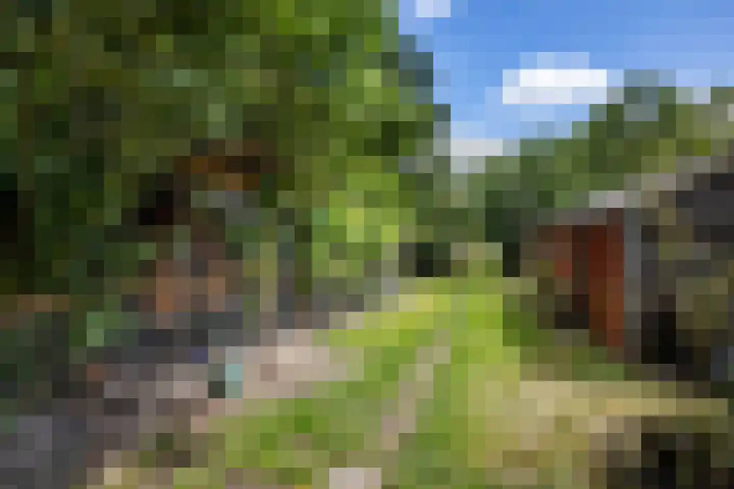 Hoofdstraat 24 Valthe thumbnail 43