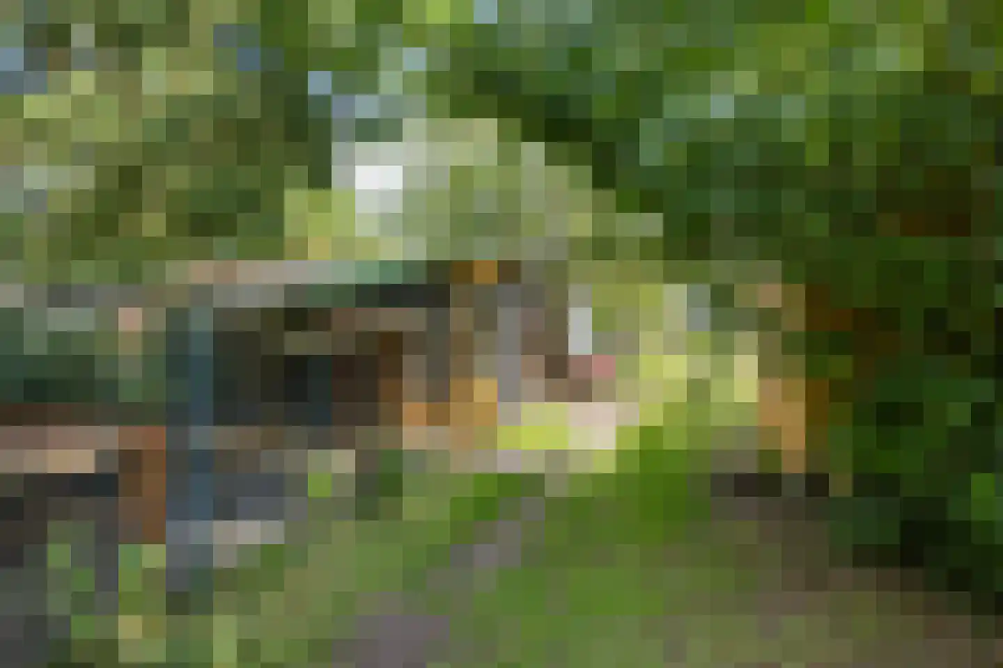 Hoofdstraat 24 Valthe thumbnail 44