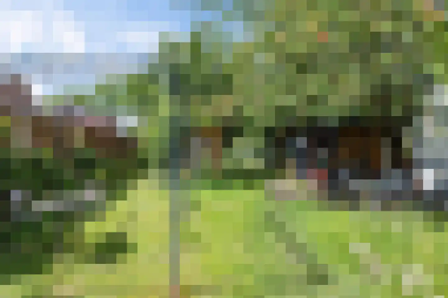 Hoofdstraat 24 Valthe thumbnail 46