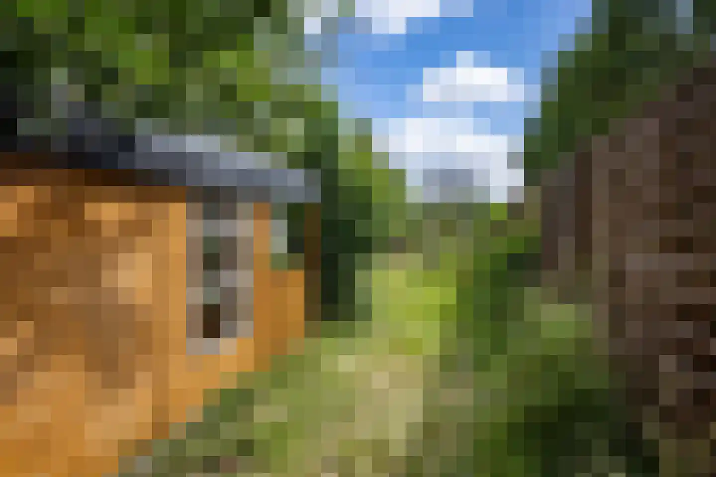 Hoofdstraat 24 Valthe thumbnail 47