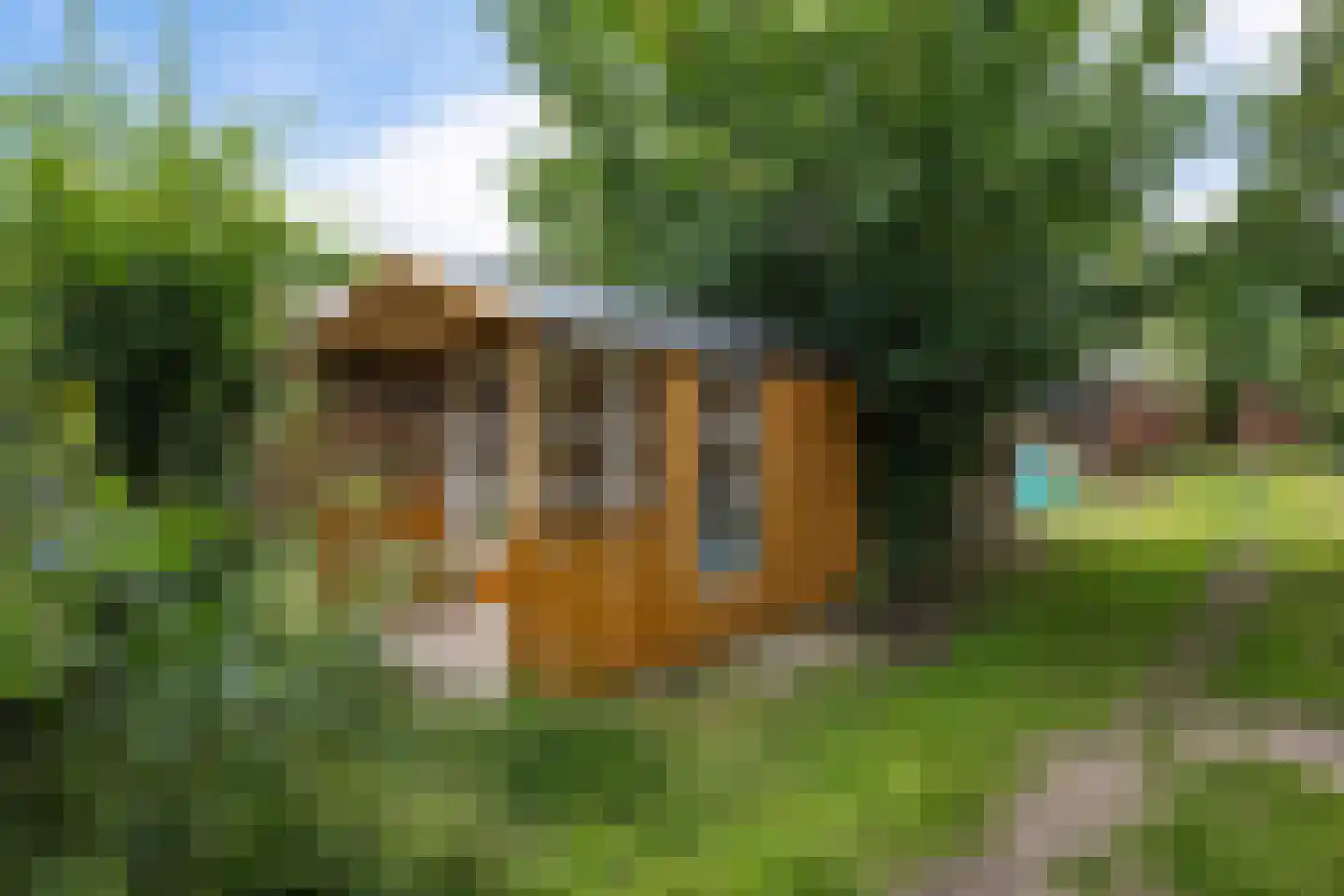 Hoofdstraat 24 Valthe thumbnail 48
