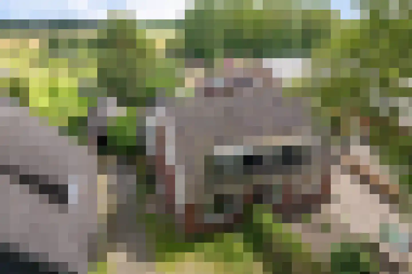Hoofdstraat 24 Valthe thumbnail 5