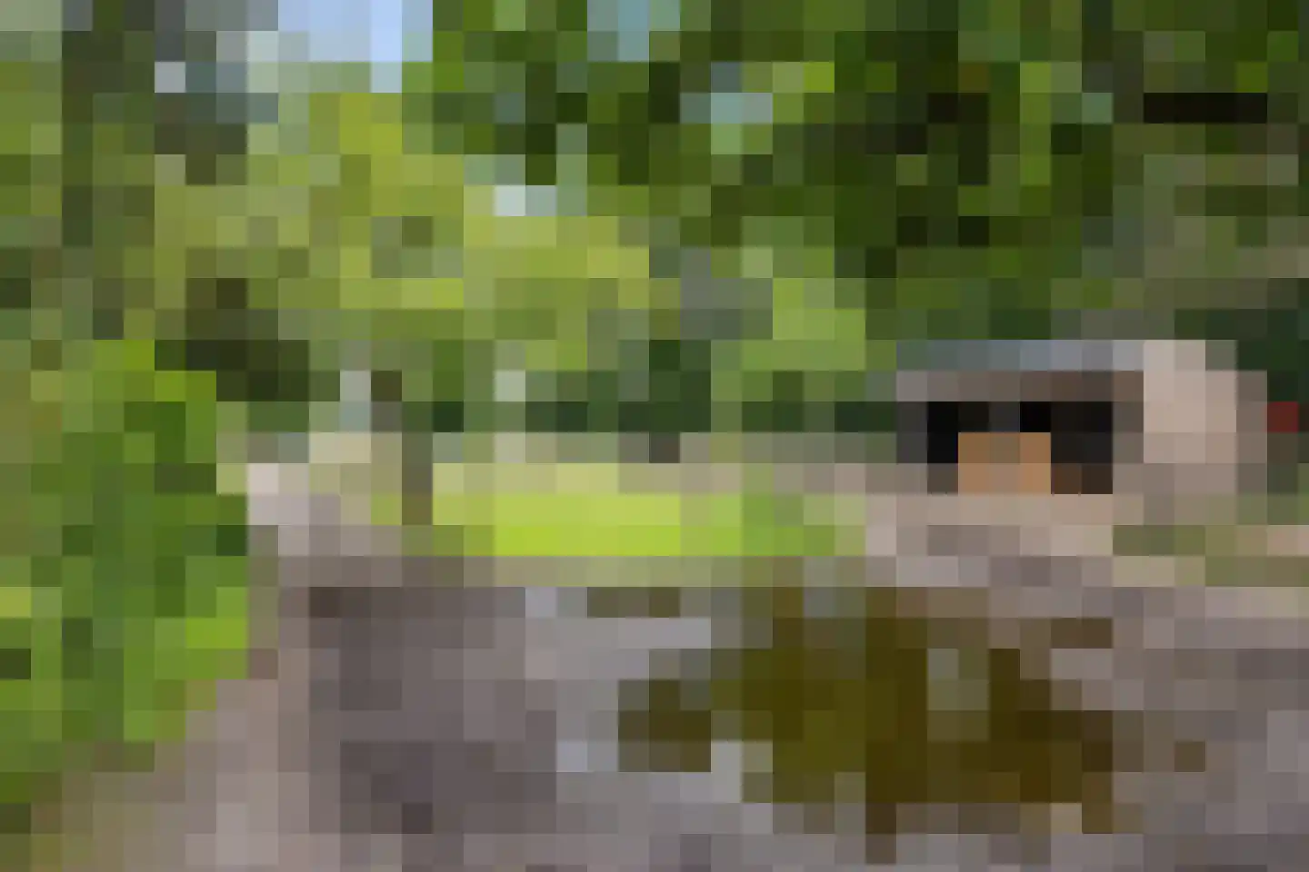 Hoofdstraat 24 Valthe thumbnail 56