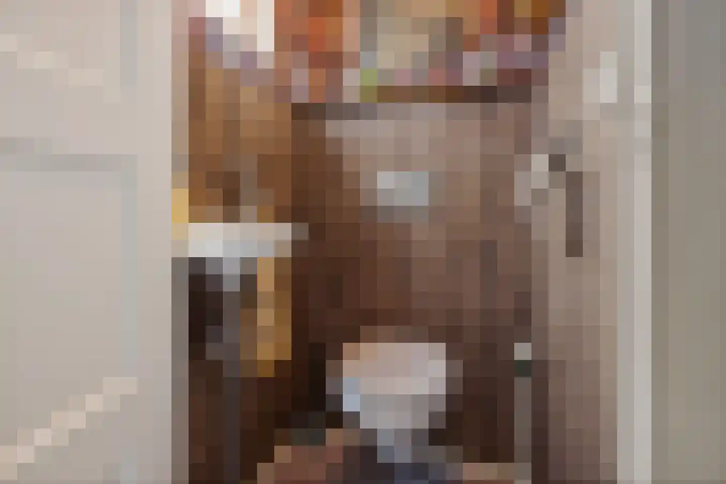 Hoofdstraat 24 Valthe thumbnail 8