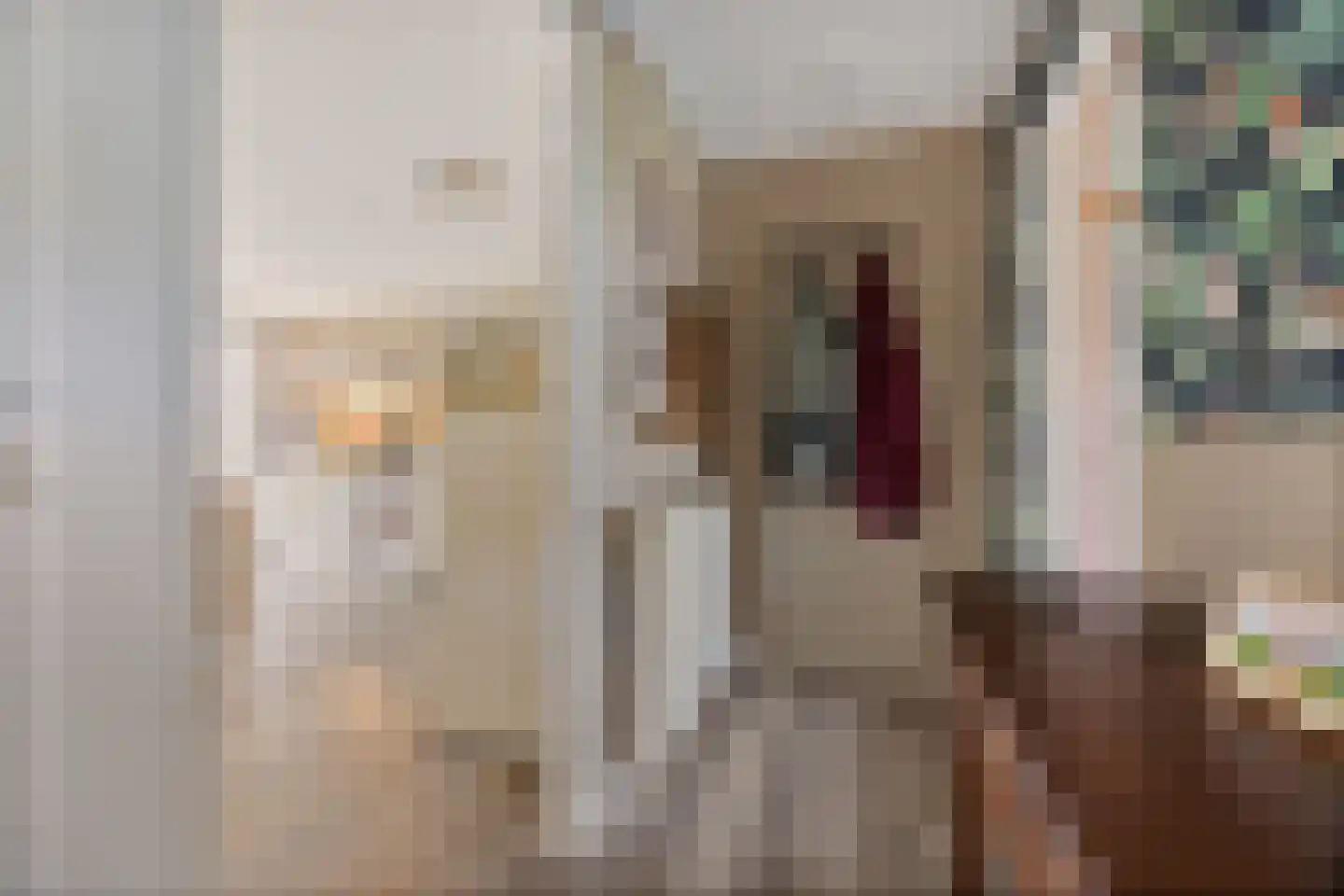 Hoofdstraat 24 Valthe thumbnail 9