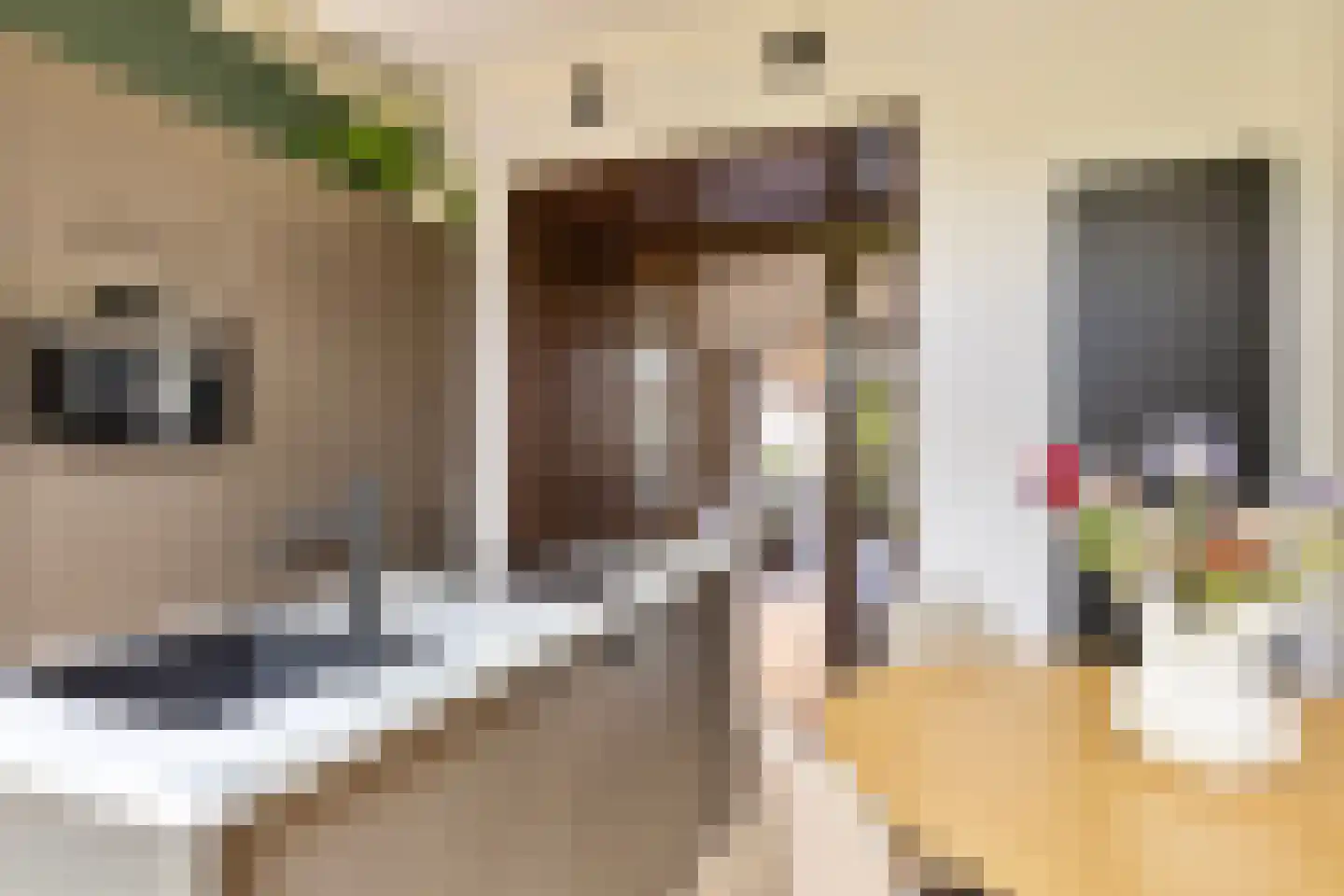 Hoofdstraat 24 Warffum thumbnail 16