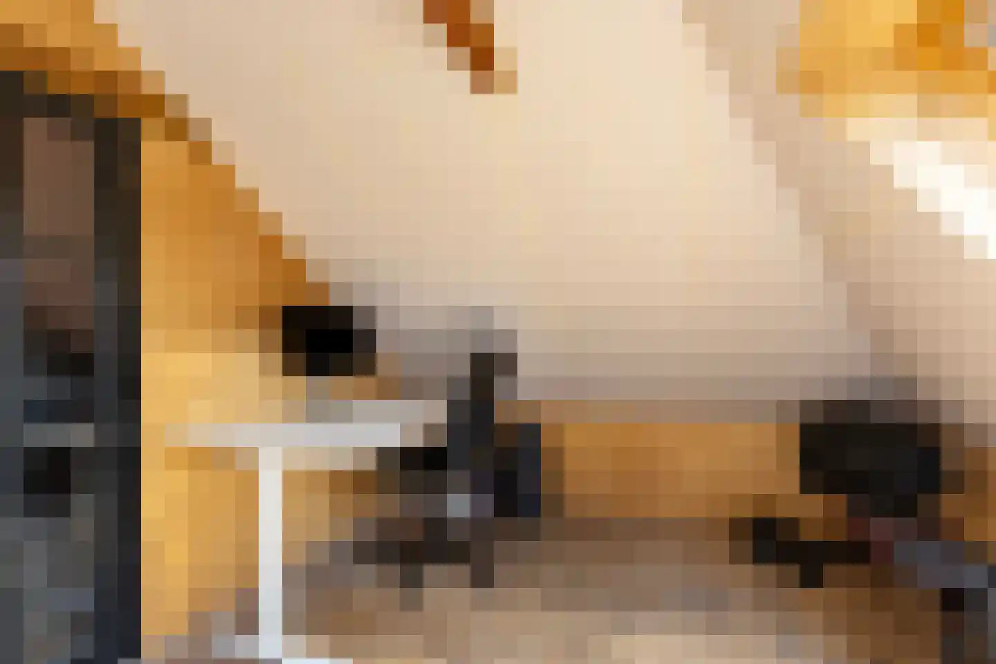 Hoofdstraat 24 Warffum thumbnail 32