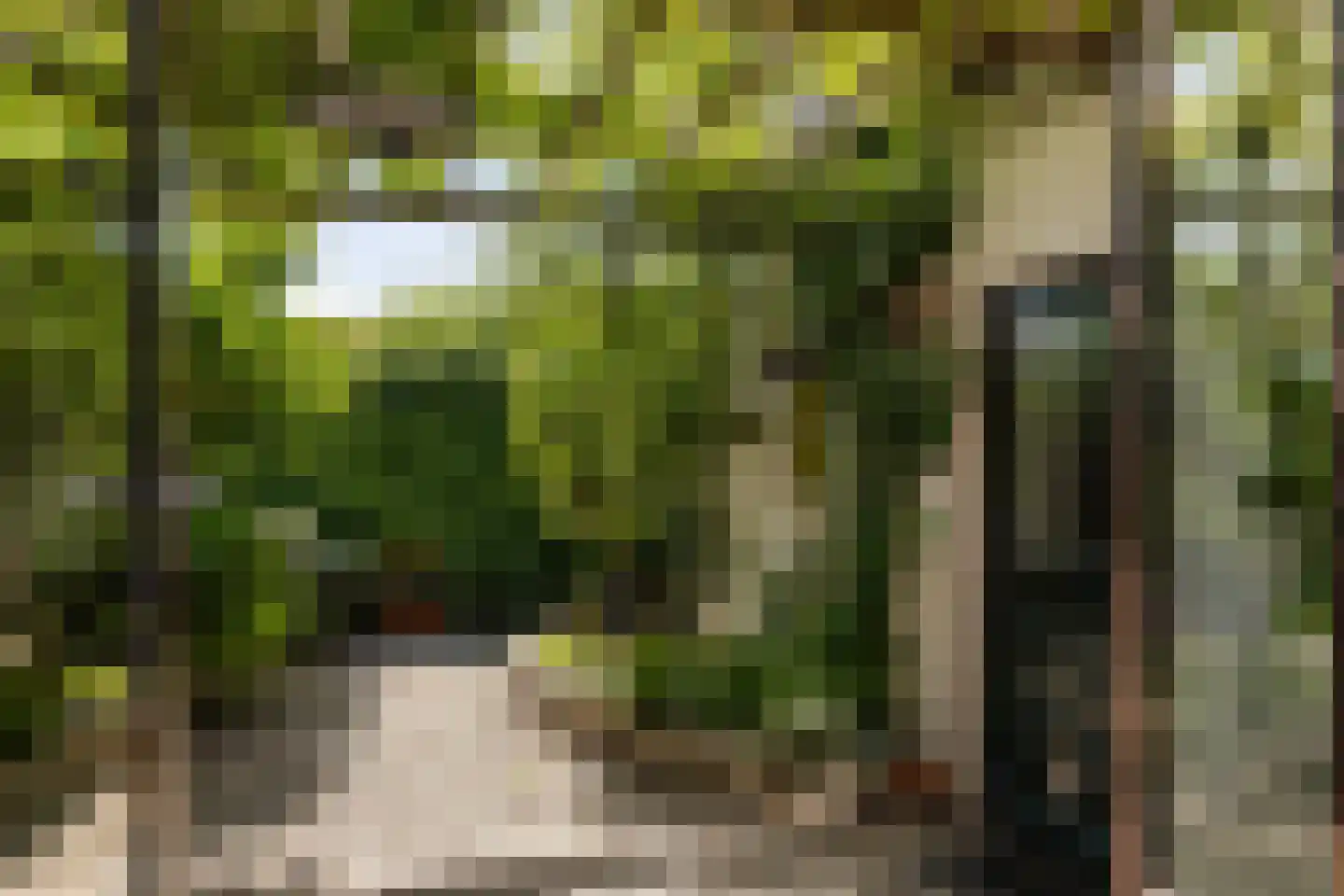 Hoofdstraat 24 Warffum thumbnail 35