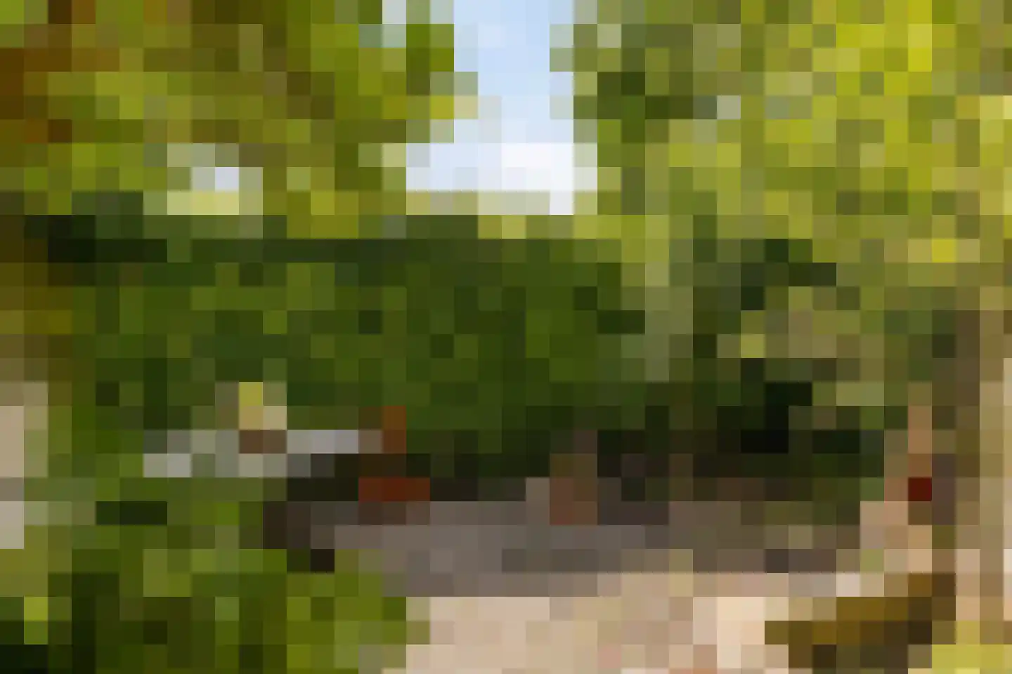 Hoofdstraat 24 Warffum thumbnail 36
