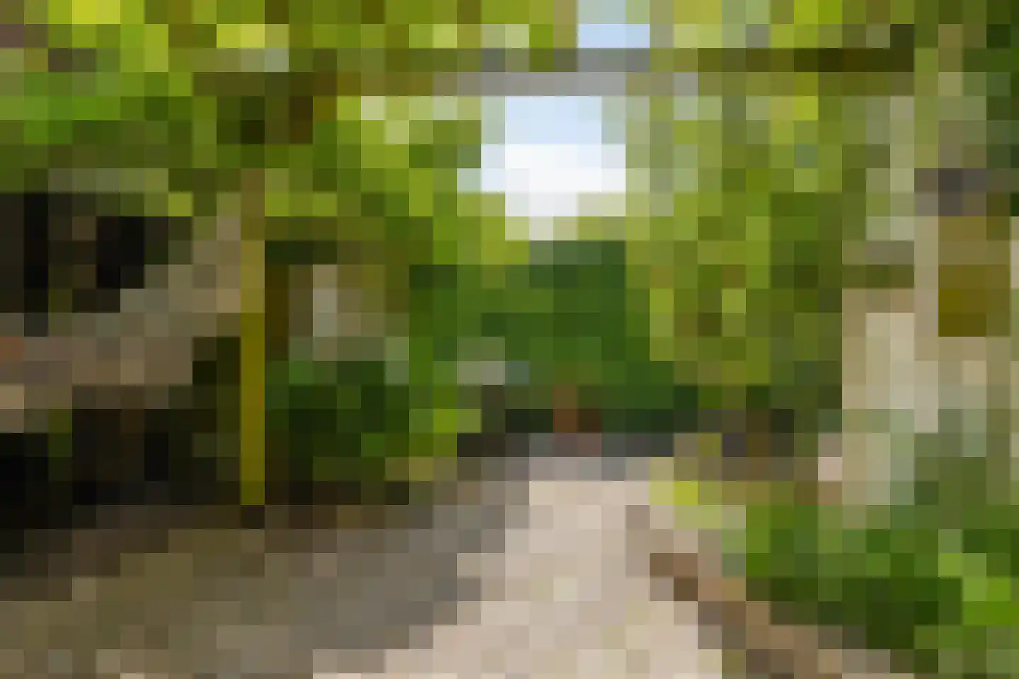 Hoofdstraat 24 Warffum thumbnail 4