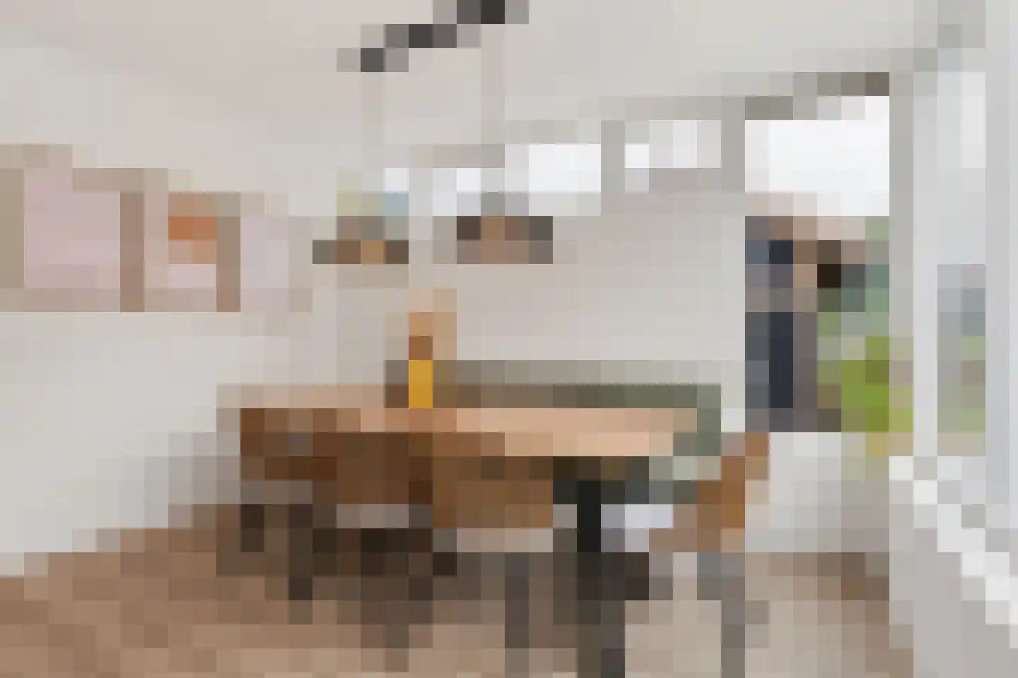 Hoofdstraat 24 Zevenbergschen Hoek thumbnail 12