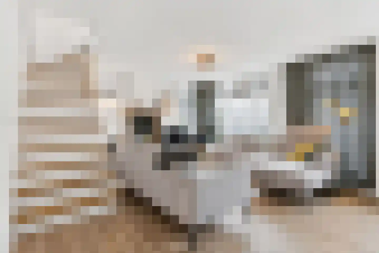 Hoofdstraat 24 Zevenbergschen Hoek thumbnail 15
