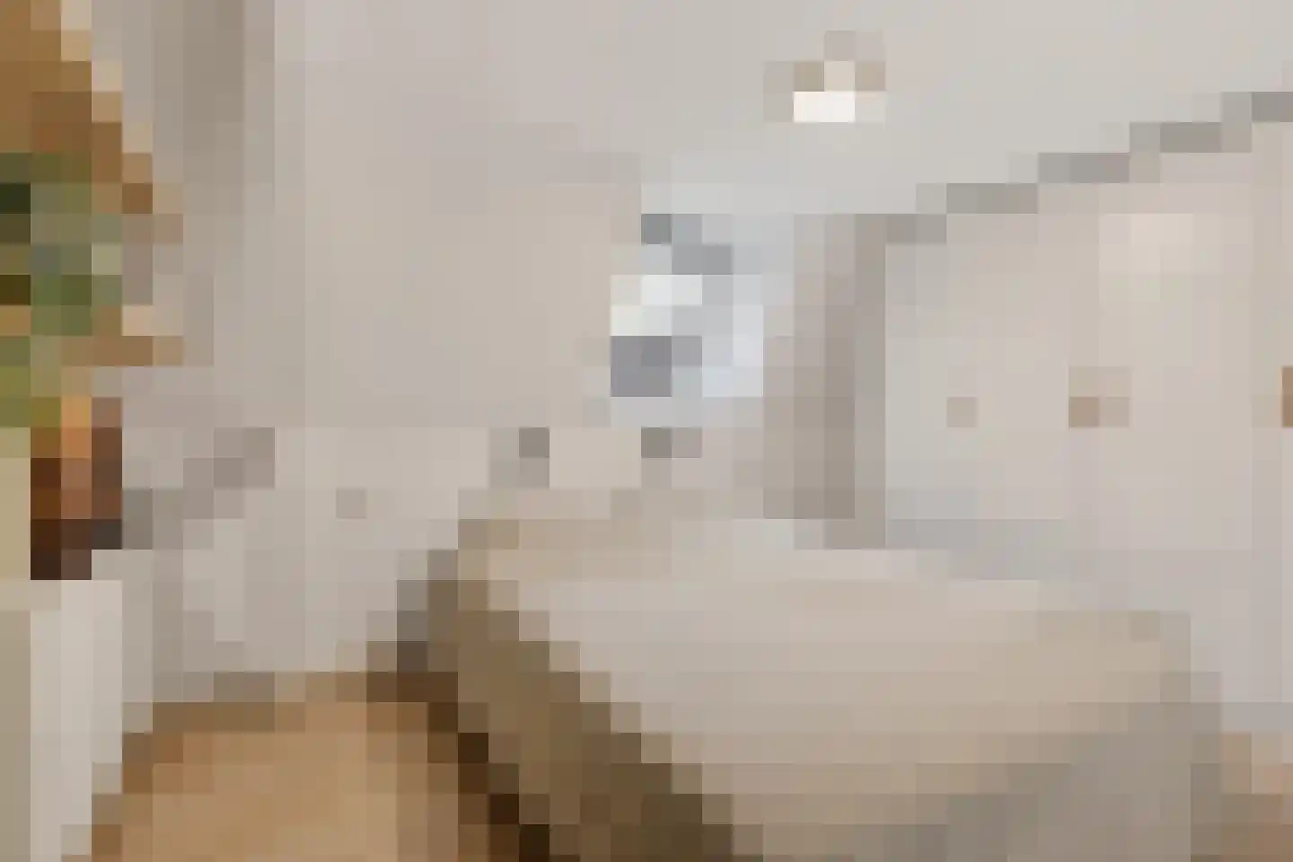 Hoofdstraat 24 Zevenbergschen Hoek thumbnail 21