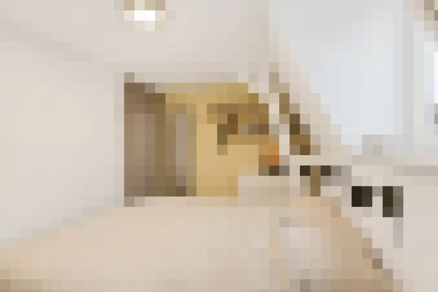 Hoofdstraat 24 Zevenbergschen Hoek thumbnail 24
