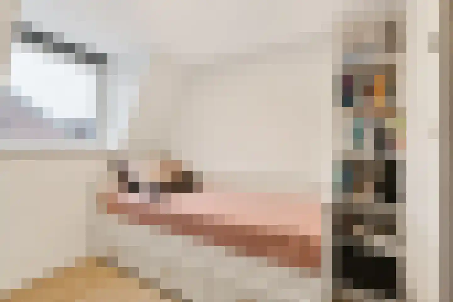 Hoofdstraat 24 Zevenbergschen Hoek thumbnail 26