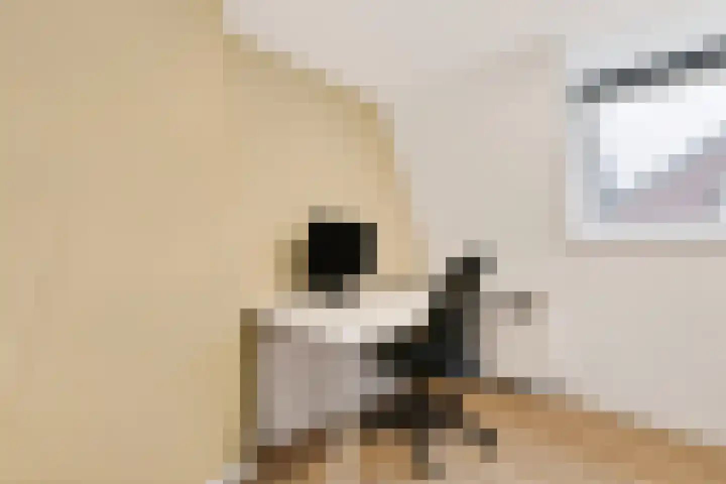 Hoofdstraat 24 Zevenbergschen Hoek thumbnail 27