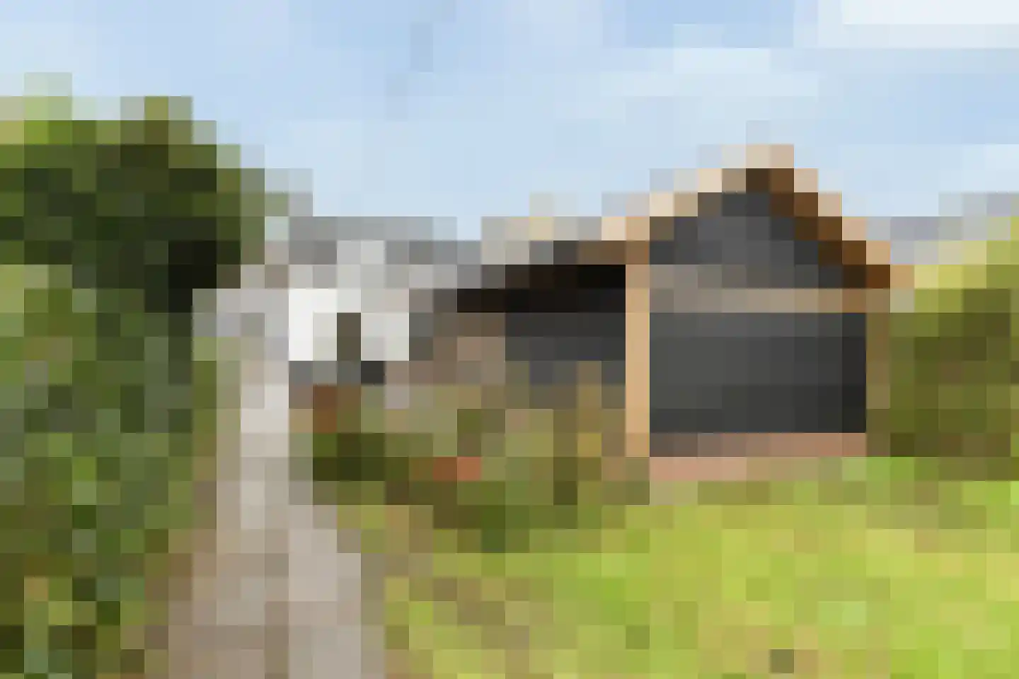 Hoofdstraat 24 Zevenbergschen Hoek thumbnail 34