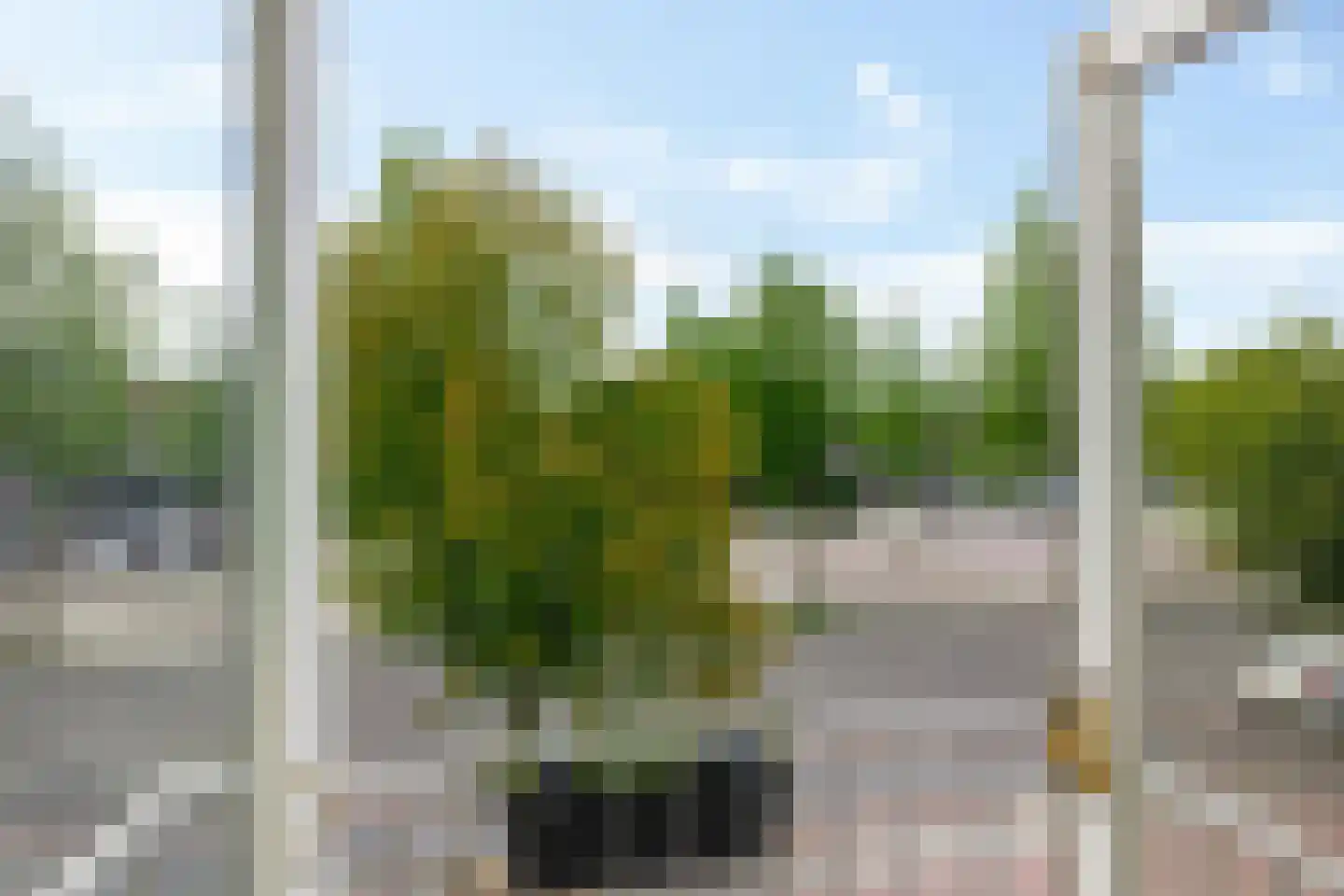 Hoofdstraat 241 Hoogezand thumbnail 39